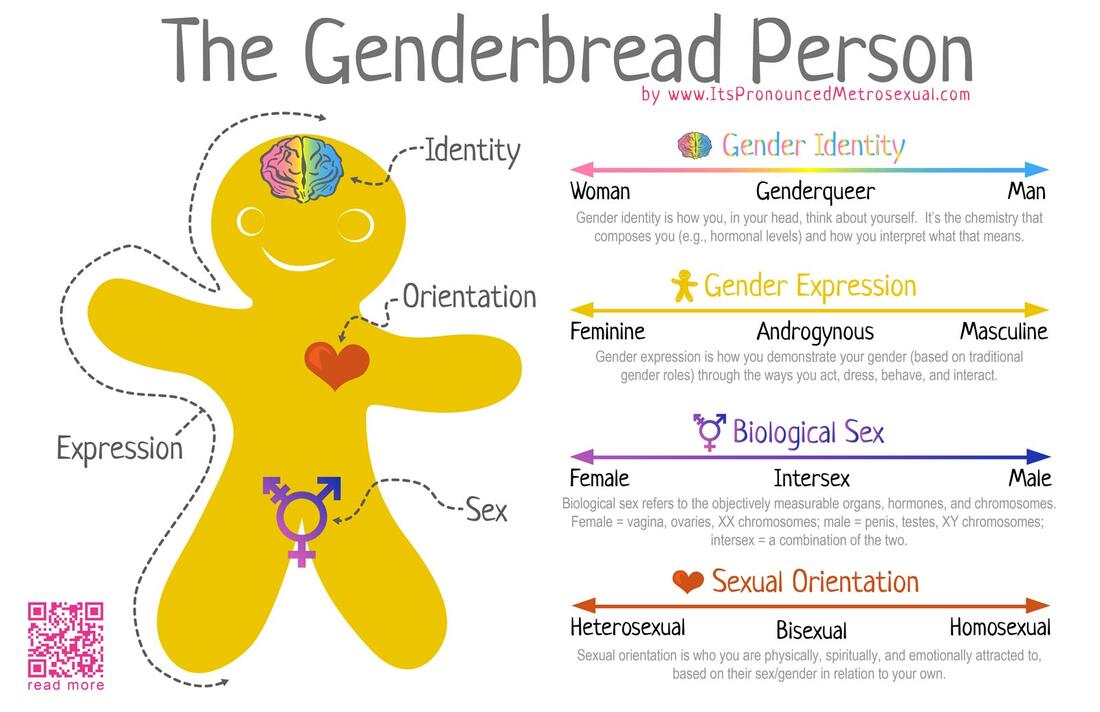 Image explaining gender through a gingerbread person