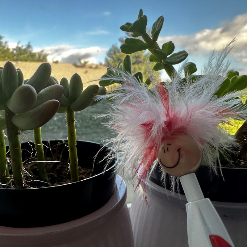 Peppy in front of two succulents