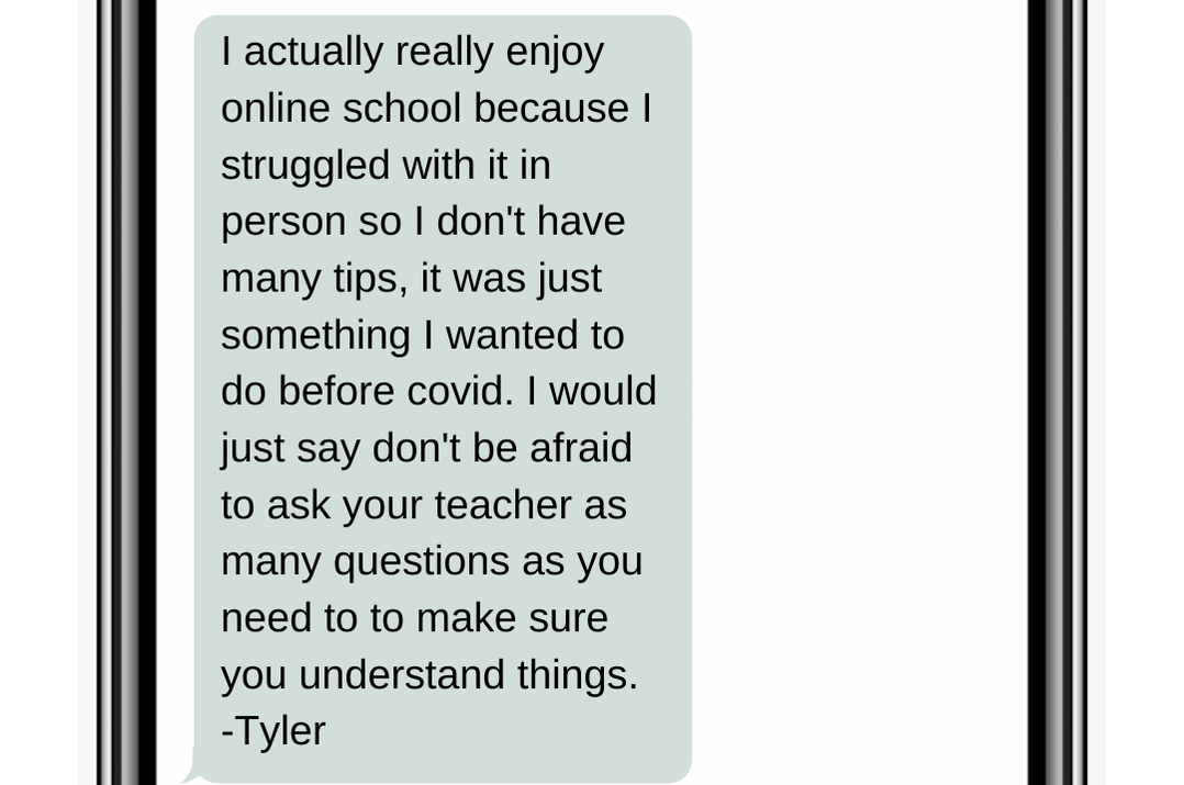 I actually really enjoy online school because I struggled with it in person so I don't have many tips, it was just something I wanted to do before covid. I would just say don't be afraid to ask your teacher as many questions as you need to to make sure you understand things. -Tyler